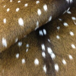 Axis Deer Hide